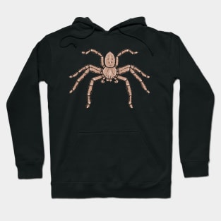 Isopedia leai Huntsman spider Hoodie